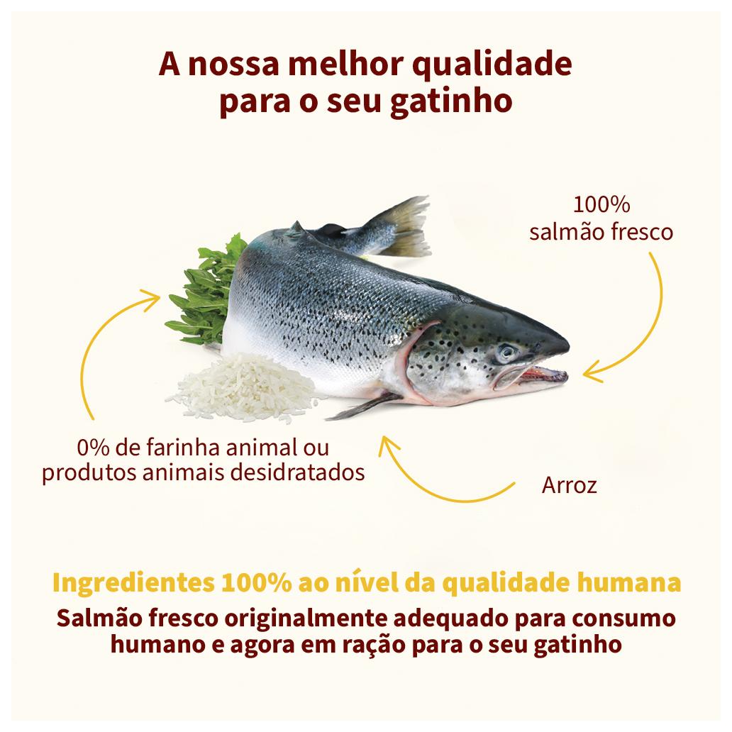 Almo Nature HFC OUR BEST Salmão
