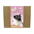 SURPRISE BOX GATO