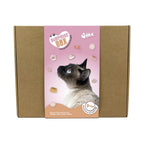 SURPRISE BOX GATO