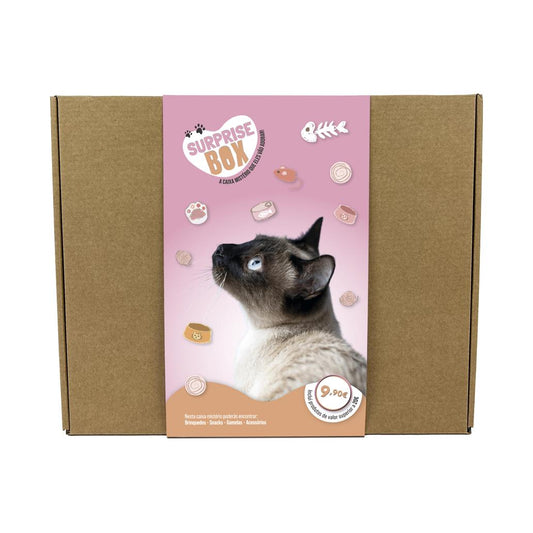CAT SURPRISE BOX