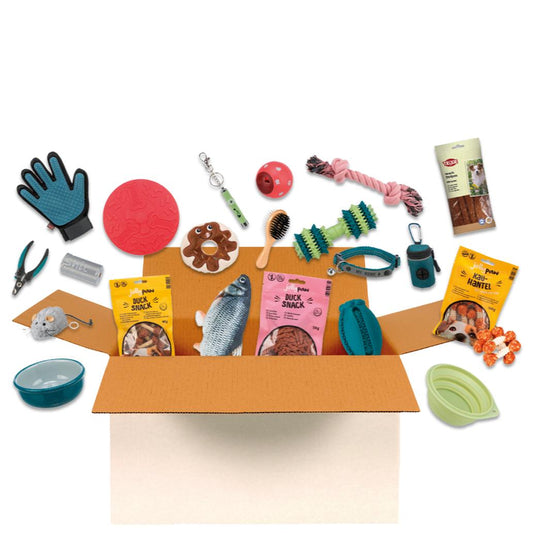 CAT SURPRISE BOX